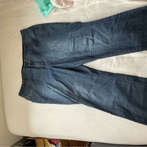 Lane Bryant Women’s Dark Blue Straight Jeans